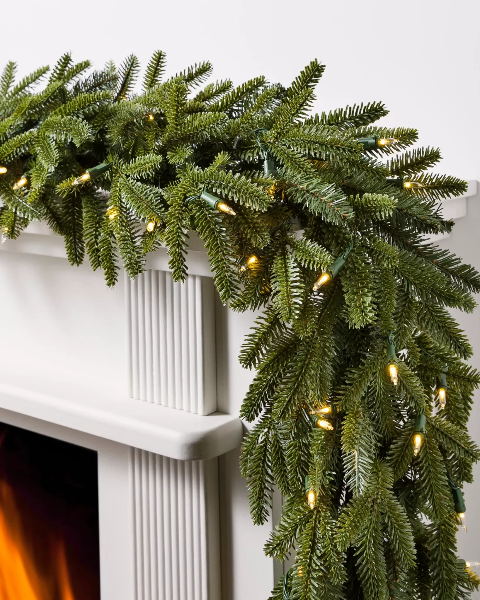 Hot BH Fraser Fir Foliage 18 - 24 Inch | 26 - 28 Inch