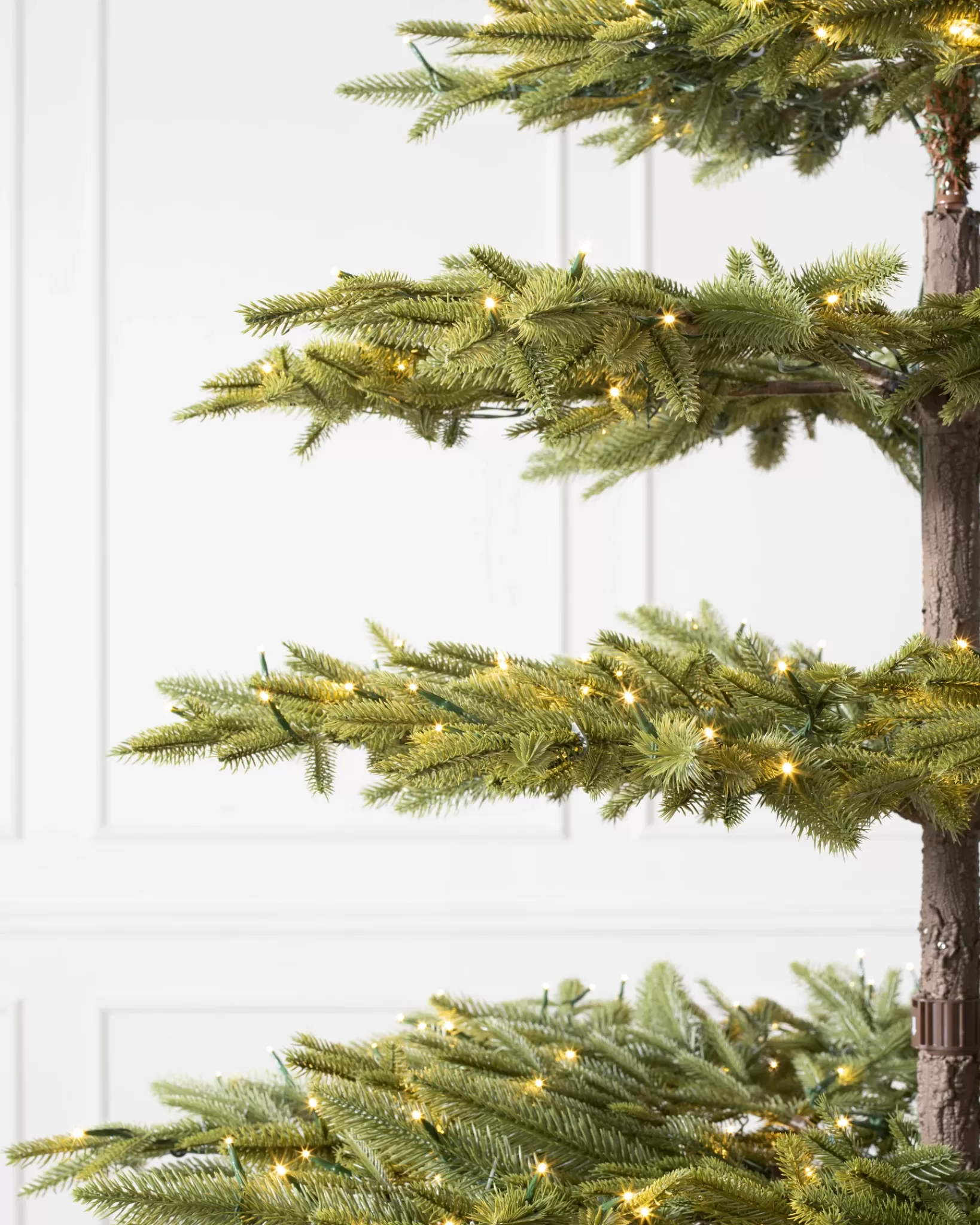 Shop Calistoga Ornament® Trees 7 - 7.5 Feet | 6 - 6.5 Feet