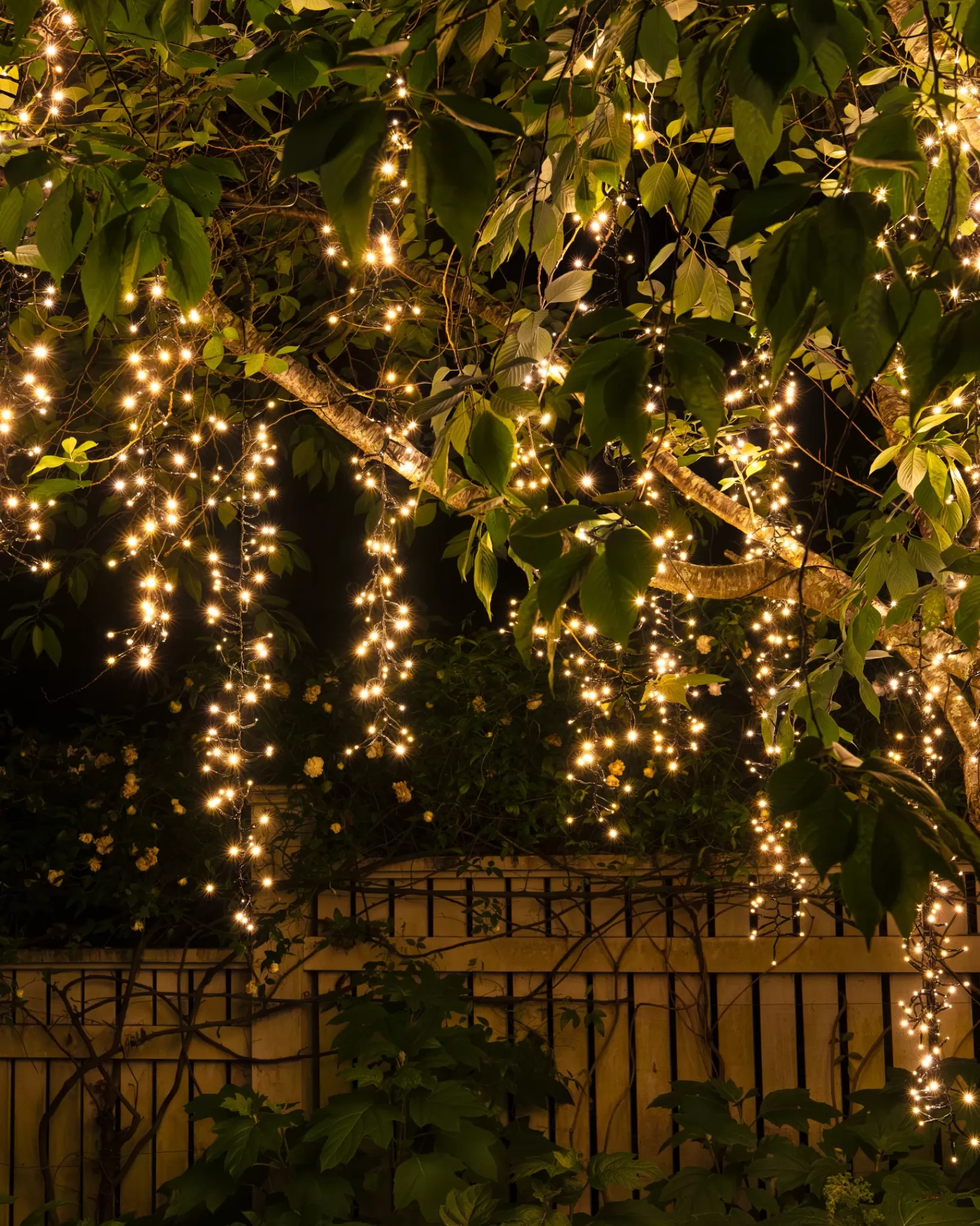 Shop Cascading Tree Light Strings Lights | String Lighting & Lanterns