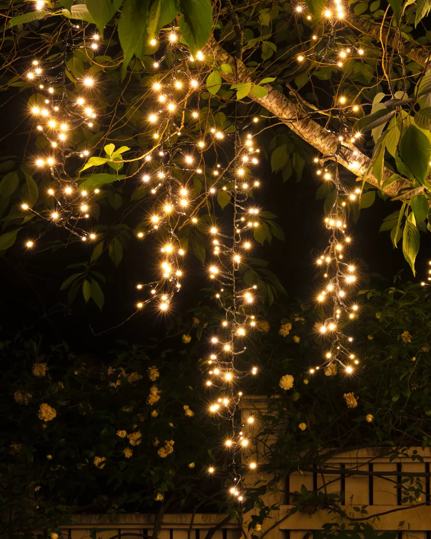 Shop Cascading Tree Light Strings Lights | String Lighting & Lanterns