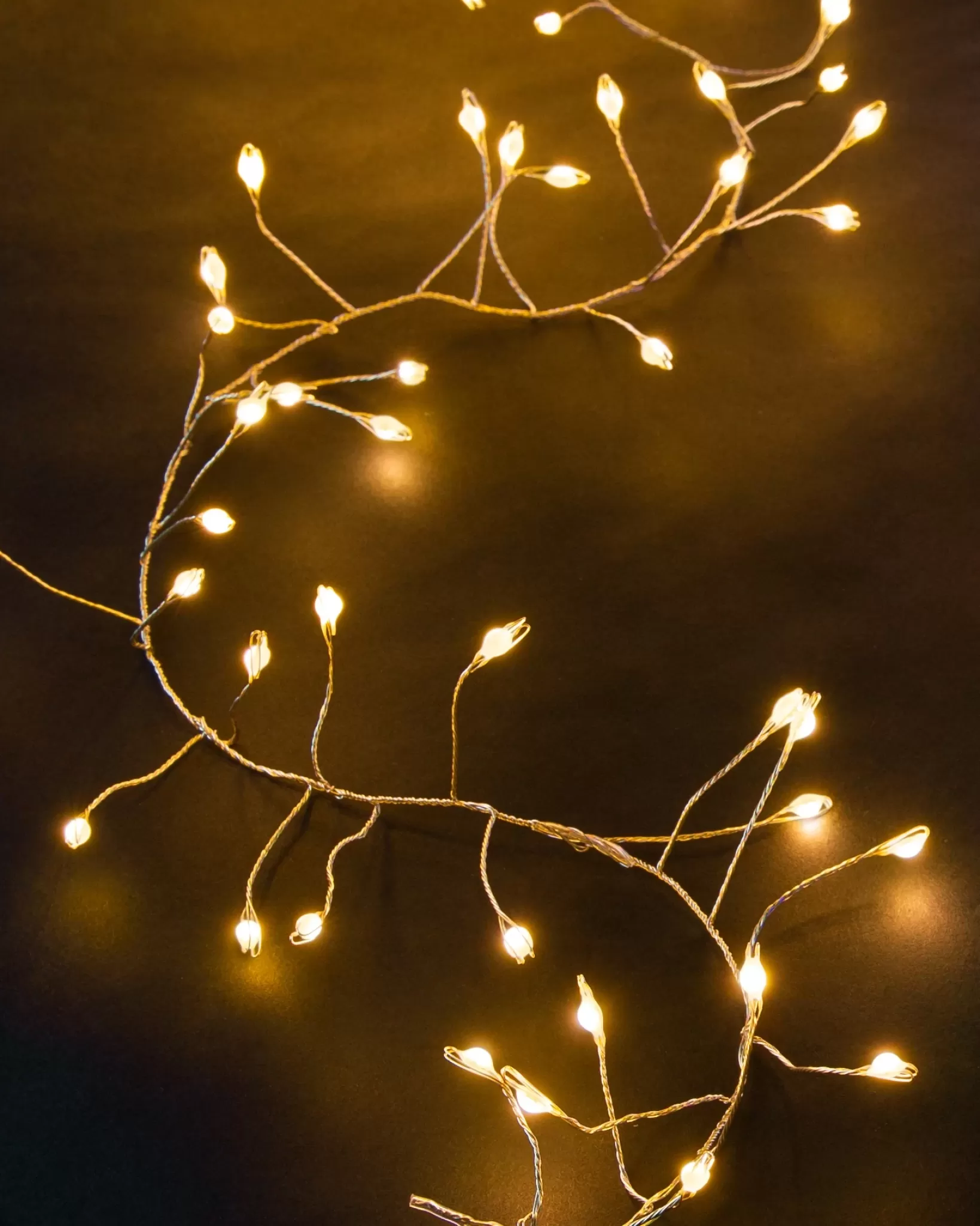 Sale Large Fairy Light String Lights | String Lighting & Lanterns